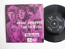 Beatles 45,,Hello Goodbye/ I am the Walrus )))  NORWAY 7 RARE