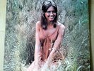 Olivia Newton-John,If not for you,1er Album,1rst lp,Original Canada,Polydor,1971