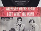 The LOOT * 1968 UK FREAKBEAT PSYCH MOD * Belgian 45 * Listen