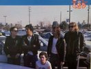 Angry Samoans STP Not LSD Vinyl LP