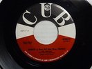 Impalas - Sorry (I Ran All The Way Home)    MINT     1959
