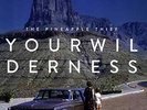 PINEAPPLE THIEF-YOUR WILDERNESS  VINYL LP NEW