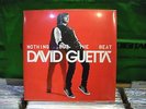 David Guetta ?– Nothing But The Beat ' 2 X LP MINT & SEALED