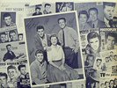 THE NELSONS 50TH ANNIVERSARY ALBUM Ricky Nelson Vinyl LP Pop