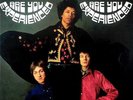 The Jimi Hendrix Experience - Are You Experienced 2LP 180G VINYL Sealed New