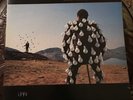 Pink Floyd , Delicate Sound Of Thunder , Double Album , Vinyl LP Gatefold Sleeve