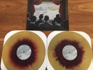 Fall Out Boy From Under Cork Tree 2 LP Limited Color Vinyl Gold Maroon Emo NEW