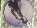 Prince  - U Got the Look 12in Picture disc