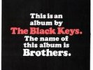 Brothers by The Black Keys (Vinyl, May-2010, 2 Discs, V2 (USA))