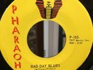 THE HEADSTONES 45 Bad Day Blues / My Kind Of Girl  GARAGE PSYCH PHARAOH