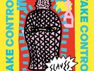 Slaves - Take Control - Heavyweight Vinyl LP *NEW*