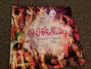 The Hold Steady - Boys And Girls In America LP