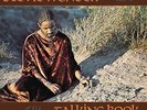 Stevie Wonder - Talking Book