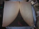 NEW Bottomless Pit [LP] Explicit Lyrics Death Grips [Alternative Rock] [Vinyl]