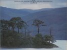 Refections Various Artists UK vinyl LP album record CBS10034 CBS 1982