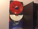 Dave Matthews Band Crash 2 X 12