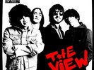THE VIEW-CHEEKY FOR A REASON-CD COOKING VINYL NEU