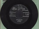 BEATLES  Ain't She Sweet   Atco   1964  45 rpm