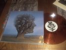 SUPERBE 33T DISQUE COULEUR PINK FLOYD  BRAVE NEW WORLD