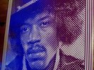 The Essential Jimi Hendrix Vinyl 2x LP Record Hits Best Of Rock Electric Guitar