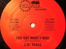 J D HALL Sexy Lady/You Got SUNFIRE 12