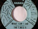 T.M.G.'s - What Can I Do? / The Hatch on Soul Shake RARE SWEET SOUL / FUNK 45