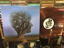 Pink Floyd - Brave New World - Live Madison Square New York 1977 Colored LP