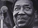 Muddy Waters - Live At Theatre 1839 (LP, Vinyl 180g) - - Vinyl Blues