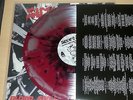 SICK OF IT ALL - Blood Sweat And No Tears LP SPLATTER VINYL OIS [NM] # Madball
