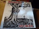 ISD After the Fire Vinyl LP ROR