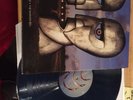 Pink Floyd Animals Division Bell Color Vinyl