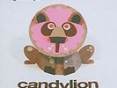 GRUFF RHYS CANDYLION LP Vinyl NEW