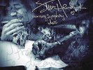 Jimi Hendrix - Morning Symphony Ideas (Black Friday 2016) Vinyl 10