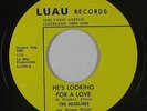 Northern Soul 45 - Headlines - He's Looking For A Love - Luau - NM mp3