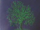 Nick Drake - Fruit Tree - Limited Edition Vinyl Box Set