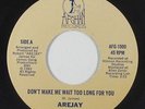 Modern Soul Boogie 45 - Arejay - Don't Make Me Wait Too Long - Afghan - VG++ mp3