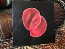 Scratch my Back Peter Gabriel LP NEW Sealed REALWORLD OOP