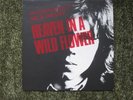 NICK DRAKE LP HEAVEN IN A FLOWER. 1985 RECORD MINT CONDITION. RARE