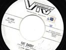 Scarce Jimmy Johnson  45 on VIV  Rockabilly Cat Daddy