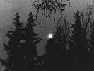 Darkthrone - Panzerfaust Vinyl LP Peaceville NEW