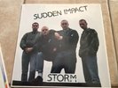 SUDDEN IMPACT 'STORM' 1988 VINYL LP OI SKIN ROCK-O-RAMA