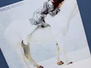 BEAUTIFUL TORI AMOS WINTER 7