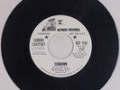 GORDON LIGHTFOOT: Sundown USA REPRISE Folk Rock DJ PROMO 45 Super NM