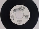 THE DOORS: Love Her Madly / Don’t Go No USA ELEKTRA Psych PROMO DJ 45 NM-