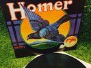 HOMER GROWN IN U.S.A •RARE IMPORT• TOP 5 ROOTSY PROG RURAL PSYCH HOLY GRAIL