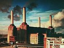 Pink Floyd - Animals (Remastered) - LP Vinyl, New
