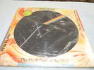 Pink Floyd Dark Side Of The Moon picture disc lp record SEAX-11902 VG+