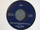 DOO WOP GROUP 45 The Hi Tones What Was The Cause Of It All Eon 101 M-  HEAR IT