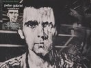 PETER GABRIEL Ein Deutsches Album 3 III Melt LIMITED 45 RPM 180g 2-LP Vinyl NEW