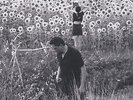 Sun Kil Moon - Jesu/Sun Kil Moon